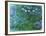 Waterlilies, 1914-17-Claude Monet-Framed Giclee Print