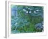 Waterlilies, 1914-17-Claude Monet-Framed Giclee Print