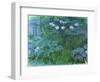 Waterlilies, 1914-17-Claude Monet-Framed Giclee Print