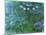 Waterlilies, 1914-17-Claude Monet-Mounted Giclee Print