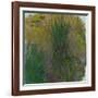 Waterlilies, 1914-1917-Claude Monet-Framed Giclee Print