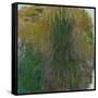 Waterlilies, 1914-1917-Claude Monet-Framed Stretched Canvas