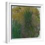 Waterlilies, 1914-1917-Claude Monet-Framed Giclee Print