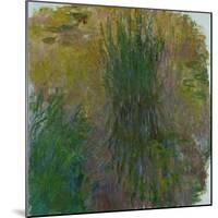 Waterlilies, 1914-1917-Claude Monet-Mounted Giclee Print