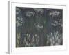 Waterlilies, 1915-26-Claude Monet-Framed Giclee Print