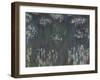 Waterlilies, 1915-26-Claude Monet-Framed Giclee Print