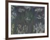 Waterlilies, 1915-26-Claude Monet-Framed Giclee Print