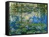 Waterlilies, 1916-1919-Claude Monet-Framed Stretched Canvas