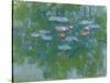 Waterlilies, 1916-19-Claude Monet-Stretched Canvas
