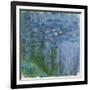 Waterlilies, 1916-19-Claude Monet-Framed Giclee Print