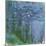 Waterlilies, 1916-19-Claude Monet-Mounted Giclee Print