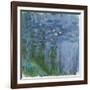 Waterlilies, 1916-19-Claude Monet-Framed Giclee Print