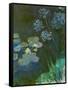 Waterlilies and Agapantes, 1914-1917-Claude Monet-Framed Stretched Canvas