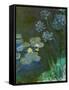 Waterlilies and Agapantes, 1914-1917-Claude Monet-Framed Stretched Canvas