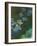 Waterlilies and Agapantes, 1914-1917-Claude Monet-Framed Giclee Print