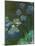 Waterlilies and Agapantes, 1914-1917-Claude Monet-Mounted Giclee Print