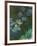 Waterlilies and Agapantes, 1914-1917-Claude Monet-Framed Giclee Print