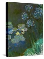 Waterlilies and Agapantes, 1914-1917-Claude Monet-Stretched Canvas