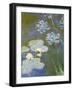 Waterlilies and Agapanthus, 1914-17 (Detail)-Claude Monet-Framed Giclee Print