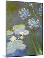 Waterlilies and Agapanthus, 1914-17 (Detail)-Claude Monet-Mounted Giclee Print