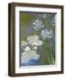 Waterlilies and Agapanthus, 1914-17 (Detail)-Claude Monet-Framed Premium Giclee Print