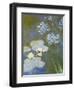 Waterlilies and Agapanthus, 1914-17 (Detail)-Claude Monet-Framed Premium Giclee Print