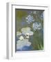 Waterlilies and Agapanthus, 1914-17 (Detail)-Claude Monet-Framed Premium Giclee Print