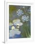 Waterlilies and Agapanthus, 1914-17 (Detail)-Claude Monet-Framed Giclee Print