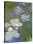 Waterlilies and Agapanthus, 1914-17 (Detail)-Claude Monet-Stretched Canvas