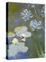 Waterlilies and Agapanthus, 1914-17 (Detail)-Claude Monet-Stretched Canvas