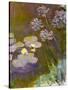 Waterlilies and Agapanthus, 1914-17-Claude Monet-Stretched Canvas