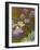 Waterlilies and Agapanthus, 1914-17-Claude Monet-Framed Giclee Print