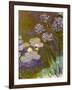 Waterlilies and Agapanthus, 1914-17-Claude Monet-Framed Giclee Print