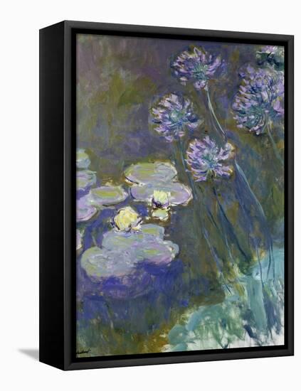 Waterlilies and Agapanthus, 1914-17-Claude Monet-Framed Stretched Canvas