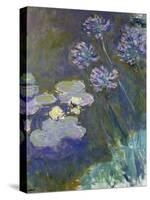 Waterlilies and Agapanthus, 1914-17-Claude Monet-Stretched Canvas