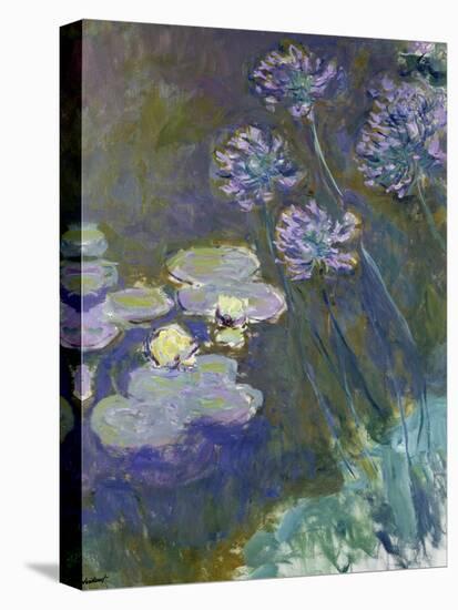 Waterlilies and Agapanthus, 1914-17-Claude Monet-Stretched Canvas