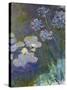 Waterlilies and Agapanthus, 1914-17-Claude Monet-Stretched Canvas