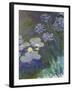 Waterlilies and Agapanthus, 1914-17-Claude Monet-Framed Giclee Print