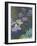 Waterlilies and Agapanthus, 1914-17-Claude Monet-Framed Giclee Print