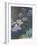 Waterlilies and Agapanthus, 1914-17-Claude Monet-Framed Giclee Print