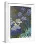 Waterlilies and Agapanthus, 1914-17-Claude Monet-Framed Giclee Print