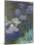 Waterlilies and Agapanthus, 1914-17-Claude Monet-Mounted Giclee Print