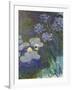 Waterlilies and Agapanthus, 1914-17-Claude Monet-Framed Giclee Print