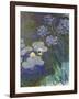 Waterlilies and Agapanthus, 1914-17-Claude Monet-Framed Giclee Print