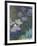 Waterlilies and Agapanthus, 1914-17-Claude Monet-Framed Giclee Print