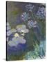 Waterlilies and Agapanthus, 1914-17-Claude Monet-Stretched Canvas