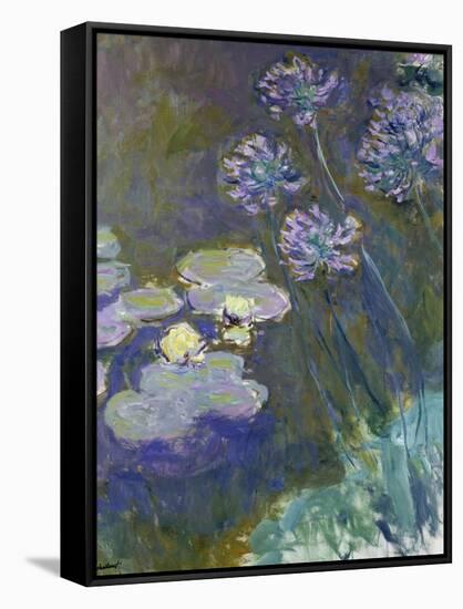 Waterlilies and Agapanthus, 1914-17-Claude Monet-Framed Stretched Canvas