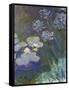 Waterlilies and Agapanthus, 1914-17-Claude Monet-Framed Stretched Canvas