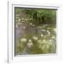 Waterlilies at Midday, 1918-Claude Monet-Framed Giclee Print