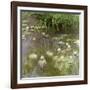 Waterlilies at Midday, 1918-Claude Monet-Framed Giclee Print